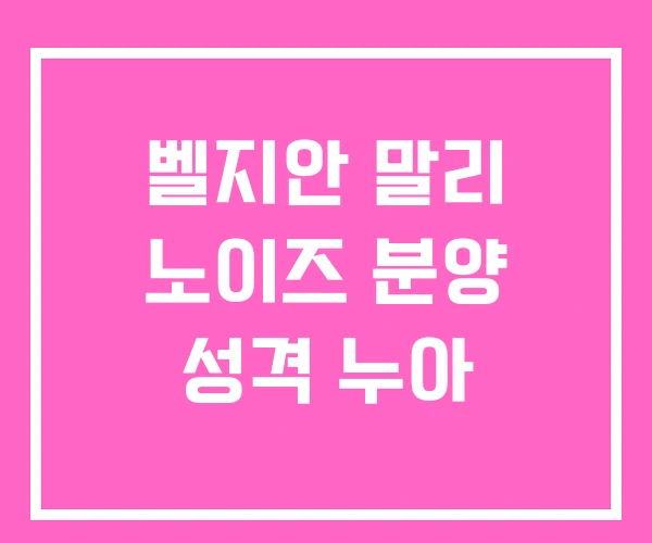 벨지안 말리 노이즈 분양 성격 누아
