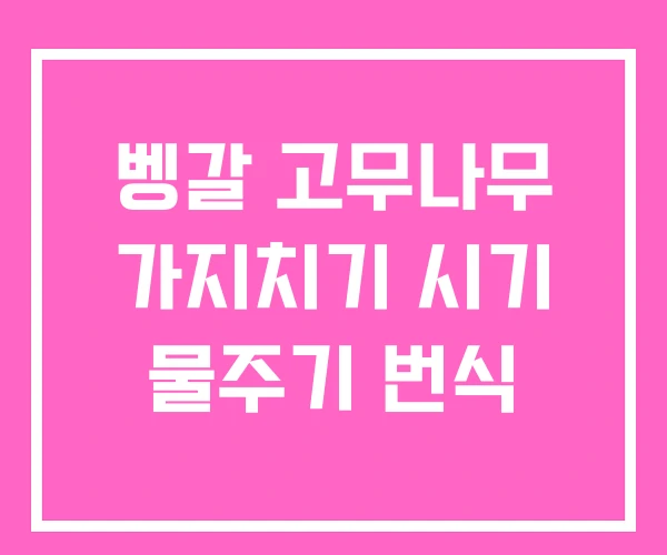 벵갈 고무나무 가지치기 시기 물주기 번식
