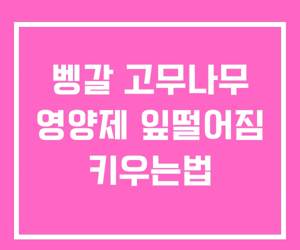 벵갈 고무나무 영양제 잎떨어짐 키우는법