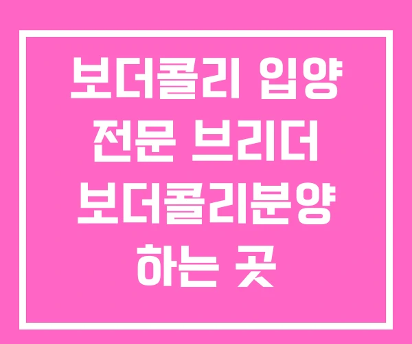 보더콜리 입양 전문 브리더 보더콜리분양 하는 곳 보더콜리 입양 전문 브리더 보더콜리분양 하는 곳