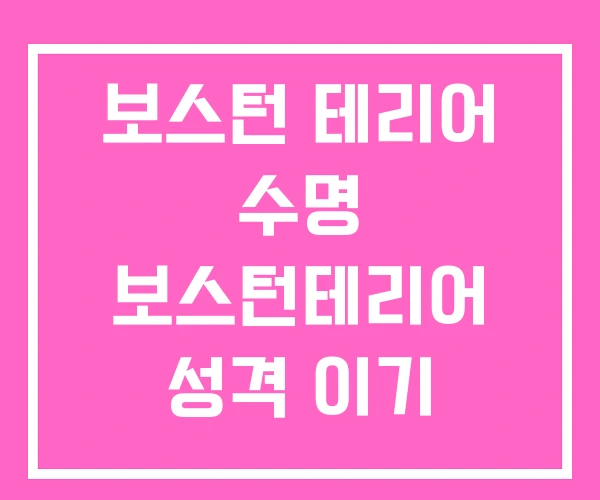 보스턴 테리어 수명 보스턴테리어 성격 이기