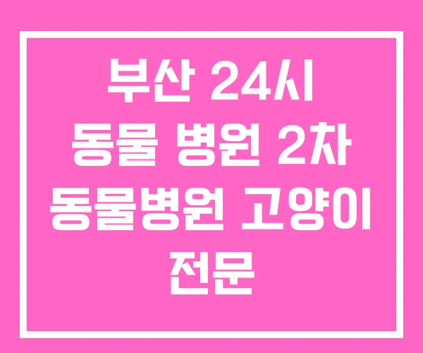 부산 24시 동물 병원 2차 동물병원 고양이 전문