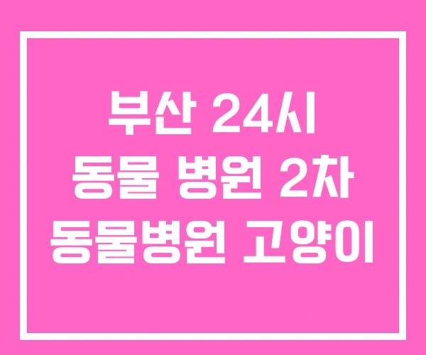 부산 24시 동물 병원 2차 동물병원 고양이 부산 24시 동물 병원 2차 동물병원 고양이