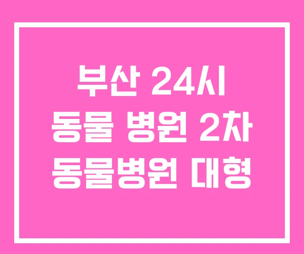 부산 24시 동물 병원 2차 동물병원 대형