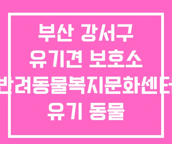 부산 강서구 유기견 보호소 반려동물복지문화센터 유기 동물 부산 강서구 유기견 보호소 반려동물복지문화센터 유기 동물