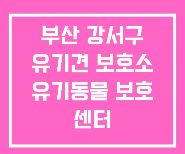 부산 강서구 유기견 보호소 유기동물 보호 센터