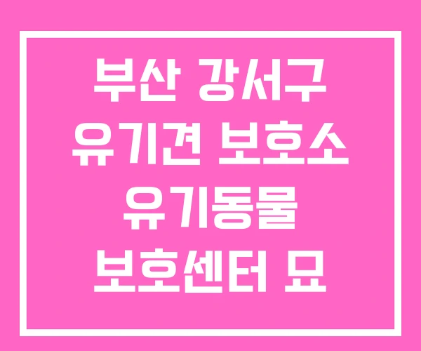 부산 강서구 유기견 보호소 유기동물 보호센터 묘 입양