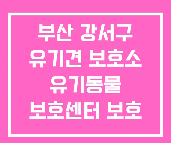 부산 강서구 유기견 보호소 유기동물 보호센터 보호 센터