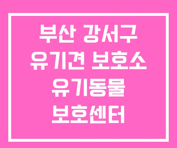 부산 강서구 유기견 보호소 유기동물 보호센터 부산 강서구 유기견 보호소 유기동물 보호센터