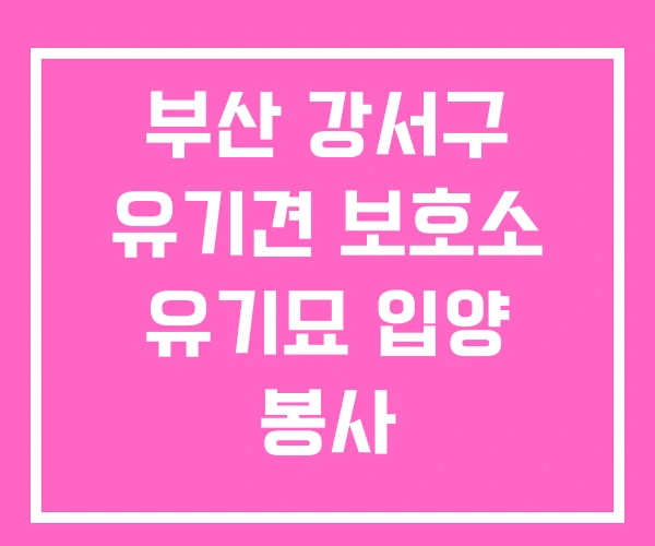 부산 강서구 유기견 보호소 유기묘 입양 봉사