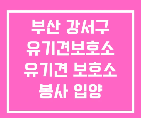 부산 강서구 유기견보호소 유기견 보호소 봉사 입양 부산 강서구 유기견보호소 유기견 보호소 봉사 입양