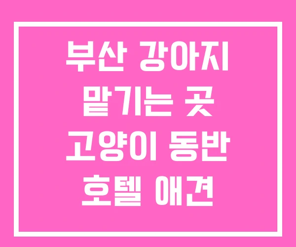 부산 강아지 맡기는 곳 고양이 동반 호텔 애견 유치원 부산 강아지 맡기는 곳 고양이 동반 호텔 애견 유치원