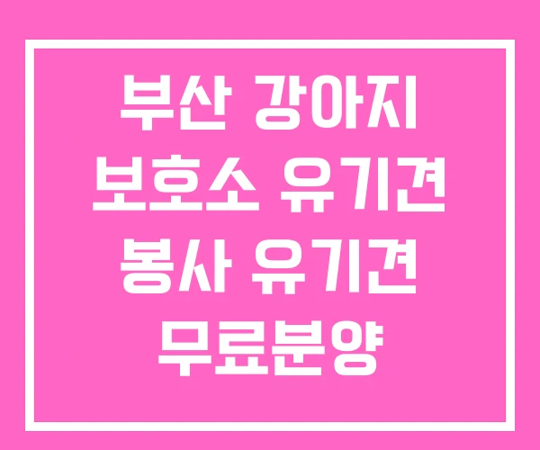 부산 강아지 보호소 유기견 봉사 유기견 무료분양 부산 강아지 보호소 유기견 봉사 유기견 무료분양