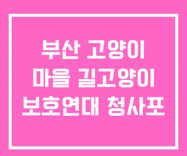 부산 고양이 마을 길고양이 보호연대 청사포