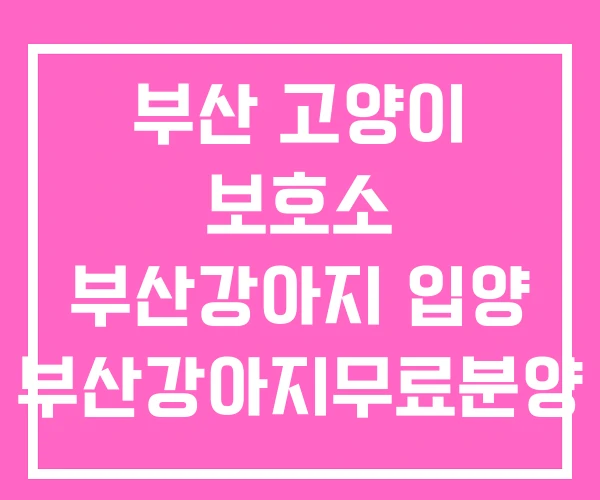 부산 고양이 보호소 부산강아지 입양 부산강아지무료분양