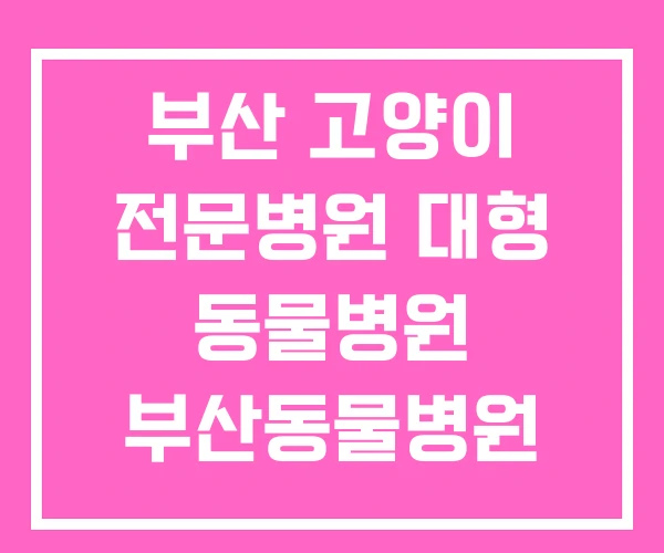 부산 고양이 전문병원 대형 동물병원 부산동물병원 추천 부산 고양이 전문병원 대형 동물병원 부산동물병원 추천