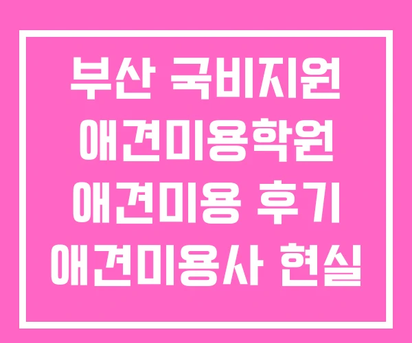 부산 국비지원 애견미용학원 애견미용 후기 애견미용사 현실 부산 국비지원 애견미용학원 애견미용 후기 애견미용사 현실
