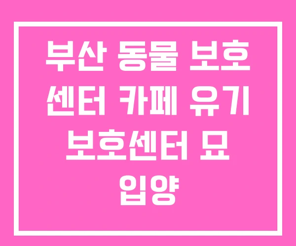 부산 동물 보호 센터 카페 유기 보호센터 묘 입양