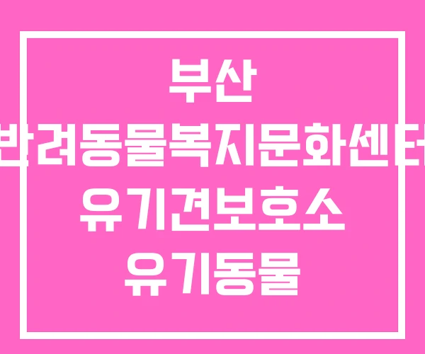 부산 반려동물복지문화센터 유기견보호소 유기동물 입양센터 부산 반려동물복지문화센터 유기견보호소 유기동물 입양센터