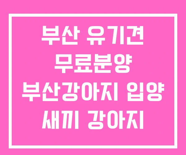 부산 유기견 무료분양 부산강아지 입양 새끼 강아지 무료분양
