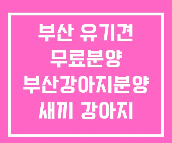 부산 유기견 무료분양 부산강아지분양 새끼 강아지 무료분양 부산 유기견 무료분양 부산강아지분양 새끼 강아지 무료분양