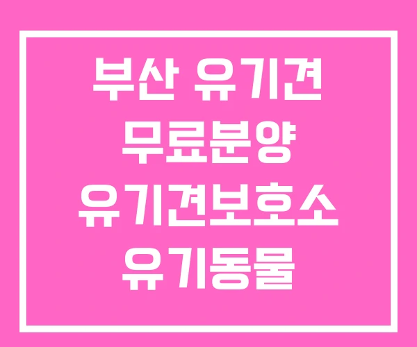 부산 유기견 무료분양 유기견보호소 유기동물 입양센터 부산 유기견 무료분양 유기견보호소 유기동물 입양센터