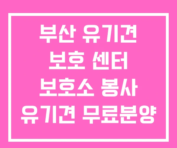 부산 유기견 보호 센터 보호소 봉사 유기견 무료분양