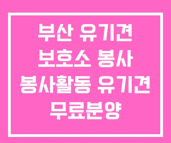 부산 유기견 보호소 봉사 봉사활동 유기견 무료분양