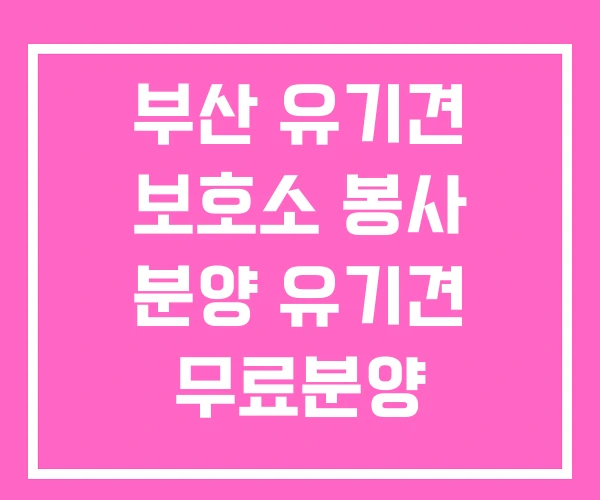 부산 유기견 보호소 봉사 분양 유기견 무료분양