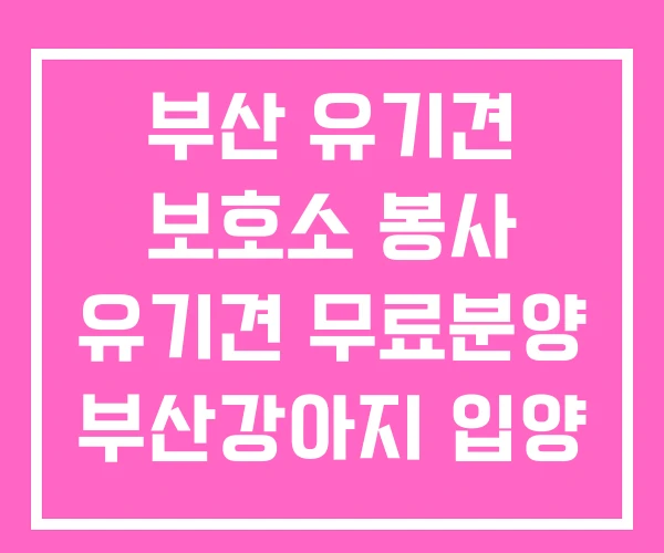부산 유기견 보호소 봉사 유기견 무료분양 부산강아지 입양