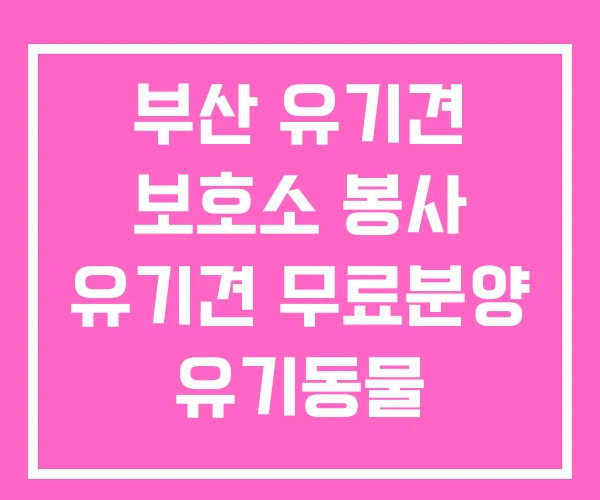 부산 유기견 보호소 봉사 유기견 무료분양 유기동물 입양센터