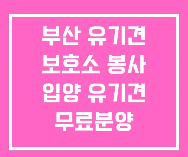 부산 유기견 보호소 봉사 입양 유기견 무료분양 부산 유기견 보호소 봉사 입양 유기견 무료분양
