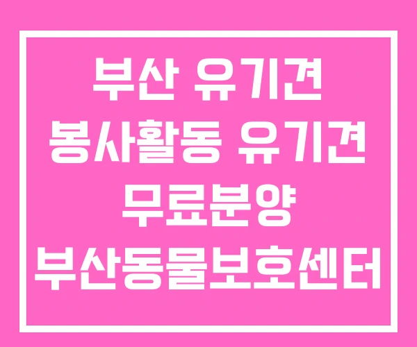 부산 유기견 봉사활동 유기견 무료분양 부산동물보호센터