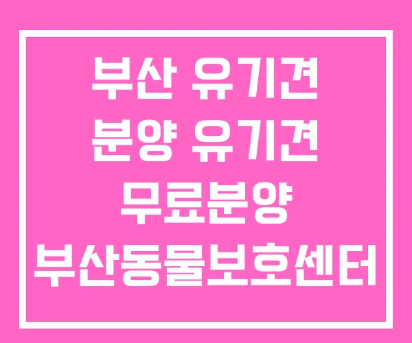 부산 유기견 분양 유기견 무료분양 부산동물보호센터 강서구 부산 유기견 분양 유기견 무료분양 부산동물보호센터 강서구