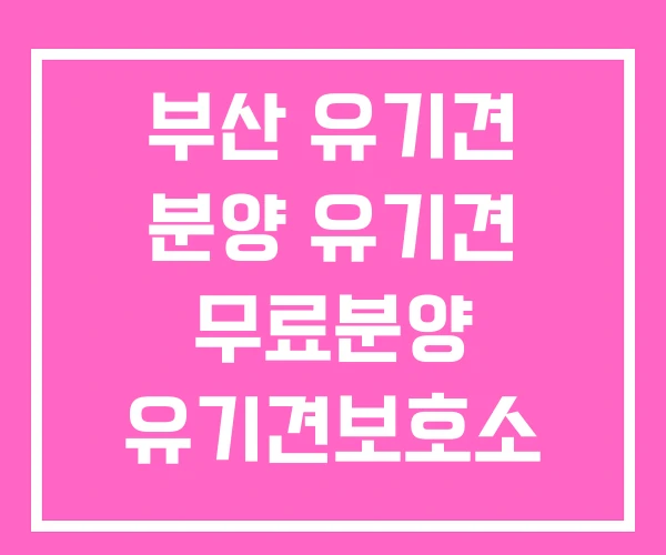 부산 유기견 분양 유기견 무료분양 유기견보호소 부산 유기견 분양 유기견 무료분양 유기견보호소