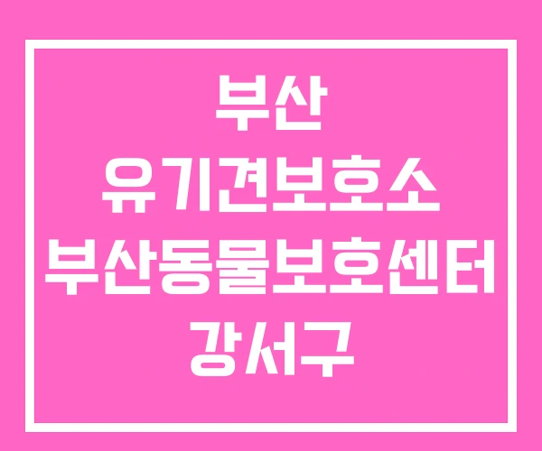 부산 유기견보호소 부산동물보호센터 강서구 부산 유기견보호소 부산동물보호센터 강서구