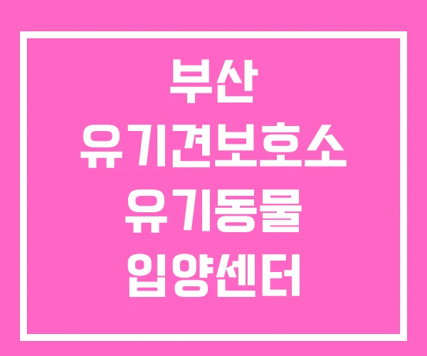 부산 유기견보호소 유기동물 입양센터 부산동물보호센터