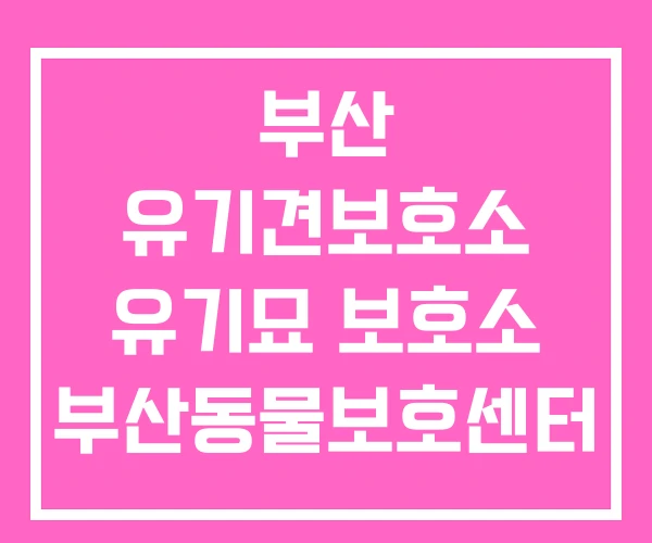 부산 유기견보호소 유기묘 보호소 부산동물보호센터 부산 유기견보호소 유기묘 보호소 부산동물보호센터