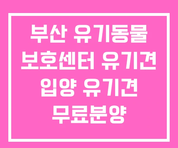부산 유기동물 보호센터 유기견 입양 유기견 무료분양 부산 유기동물 보호센터 유기견 입양 유기견 무료분양