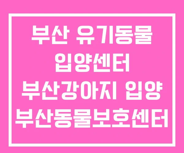 부산 유기동물 입양센터 부산강아지 입양 부산동물보호센터 부산 유기동물 입양센터 부산강아지 입양 부산동물보호센터