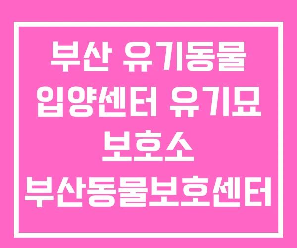 부산 유기동물 입양센터 유기묘 보호소 부산동물보호센터 부산 유기동물 입양센터 유기묘 보호소 부산동물보호센터