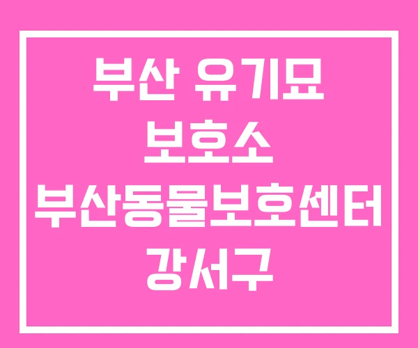 부산 유기묘 보호소 부산동물보호센터 강서구 부산 유기묘 보호소 부산동물보호센터 강서구