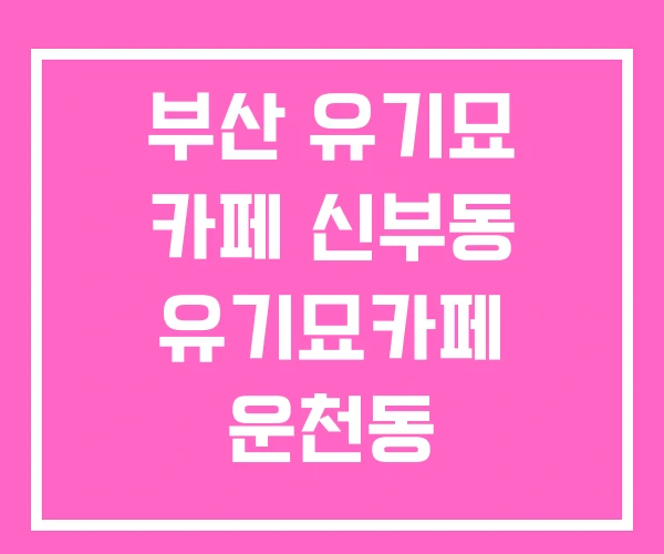 부산 유기묘 카페 신부동 유기묘카페 운천동 부산 유기묘 카페 신부동 유기묘카페 운천동