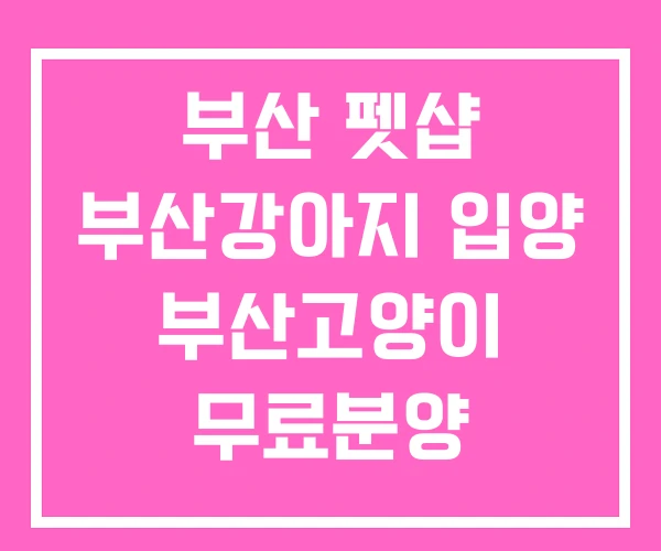 부산 펫샵 부산강아지 입양 부산고양이 무료분양