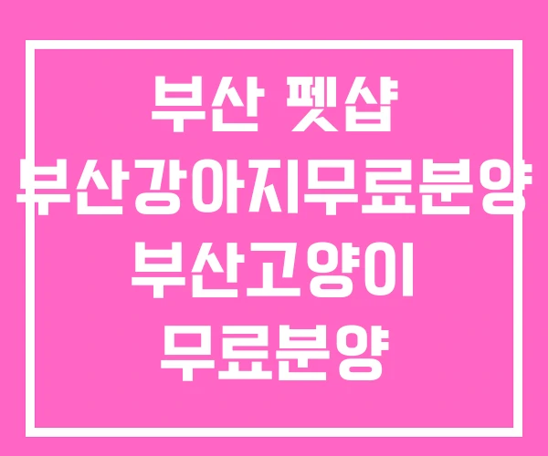 부산 펫샵 부산강아지무료분양 부산고양이 무료분양 부산 펫샵 부산강아지무료분양 부산고양이 무료분양