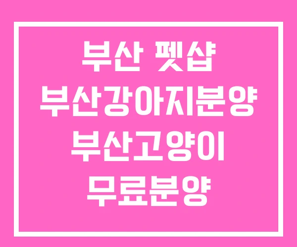 부산 펫샵 부산강아지분양 부산고양이 무료분양 부산 펫샵 부산강아지분양 부산고양이 무료분양
