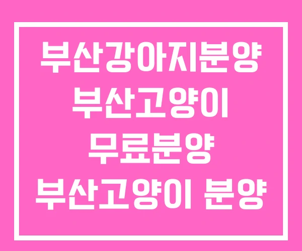 부산강아지분양 부산고양이 무료분양 부산고양이 분양