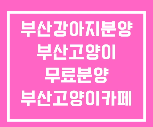 부산강아지분양 부산고양이 무료분양 부산고양이카페 부산강아지분양 부산고양이 무료분양 부산고양이카페
