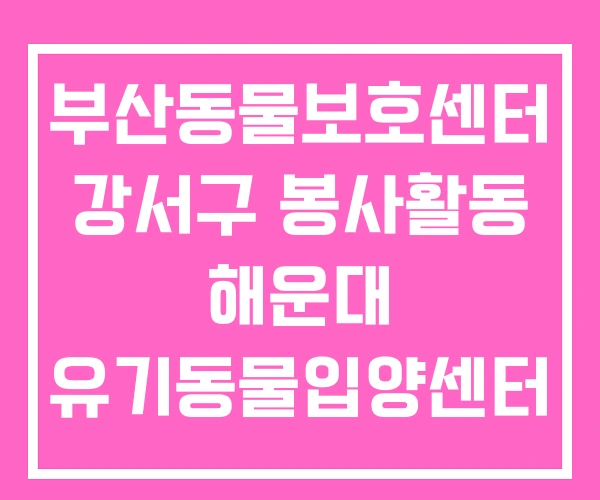 부산동물보호센터 강서구 봉사활동 해운대 유기동물입양센터 부산동물보호센터 강서구 봉사활동 해운대 유기동물입양센터