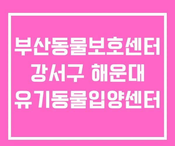 부산동물보호센터 강서구 해운대 유기동물입양센터 부산동물보호센터 강서구 해운대 유기동물입양센터